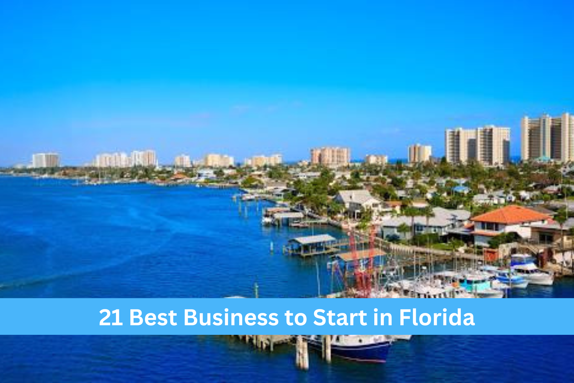 Best Business to Start in Florida