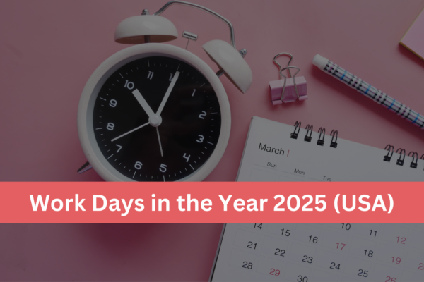 Work Days in the Year 2025 (USA)